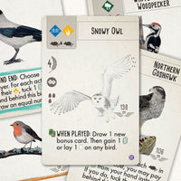 Wingspan Vision-Friendly Cards: European Expansion